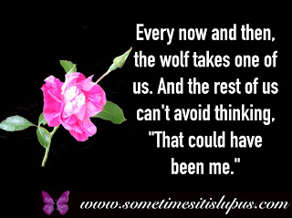 Image: pink rose. Text: Every now and then, the wolf takes one of us. And the rest of us can't avoid thinking, "That could have been me."