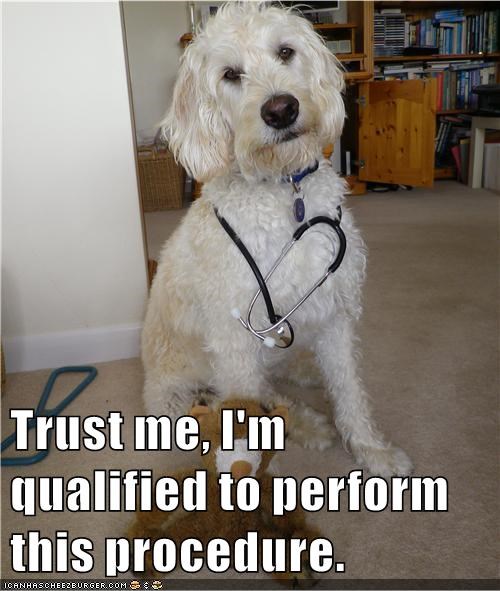 Image: dog with stethoscope.  Text: Trust me, I'm qualified to perform this procedure